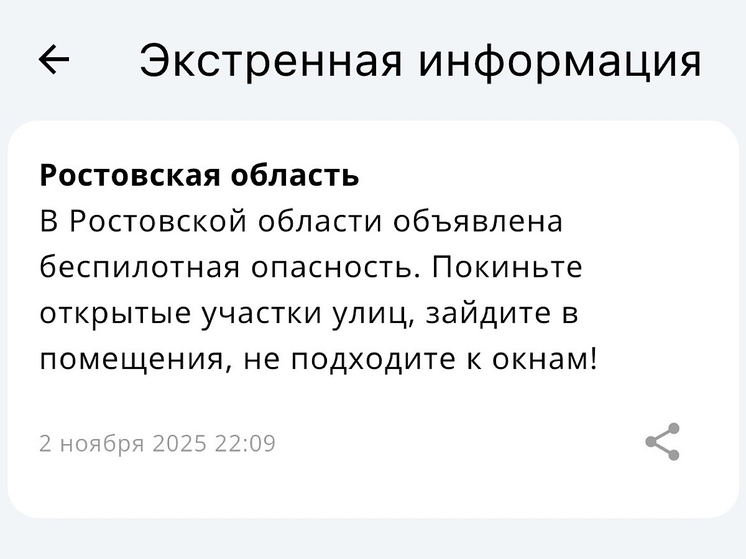 В Ростовской области 2 ноября объявили опасность беспилотников