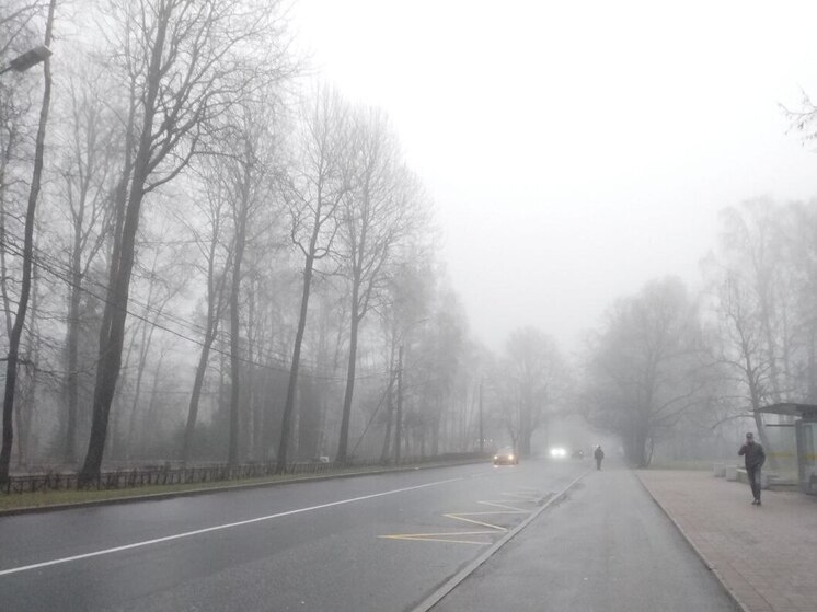 Ленинградцев 3 ноября ожидают дожди, туман и до +9 градусов