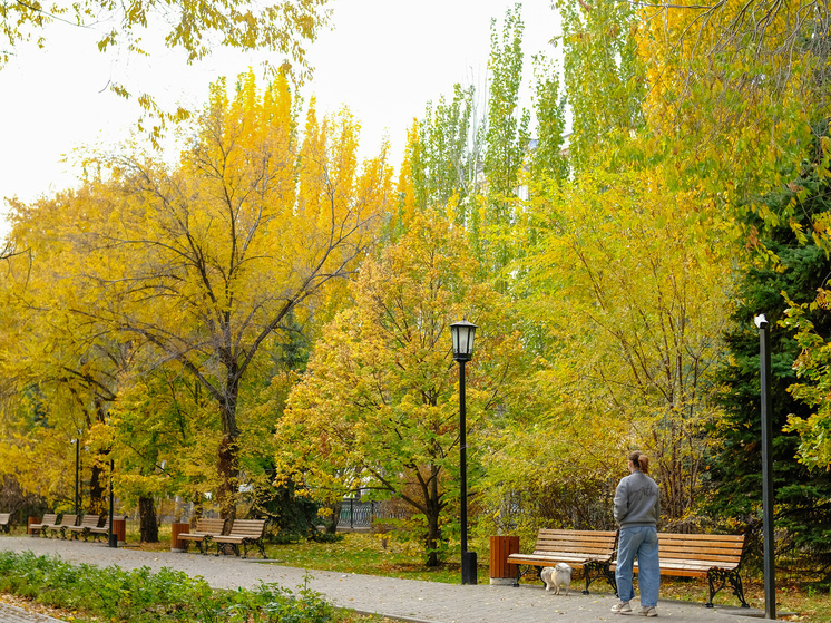 Желтый уровень опасности из-за погоды ввели в Волгоградской области