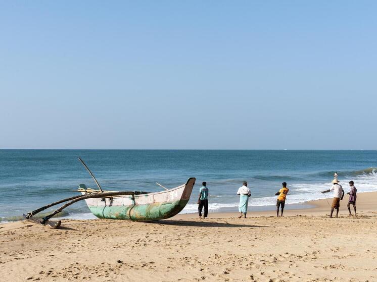 На Шри-Ланке двухметровые змеи заползают в отели и пугают туристов