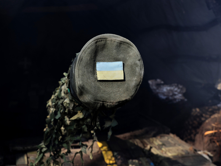 Экс-замминистра обороны Украины Дейнега: ВСУ уже потеряли Красноармейск и Димитров