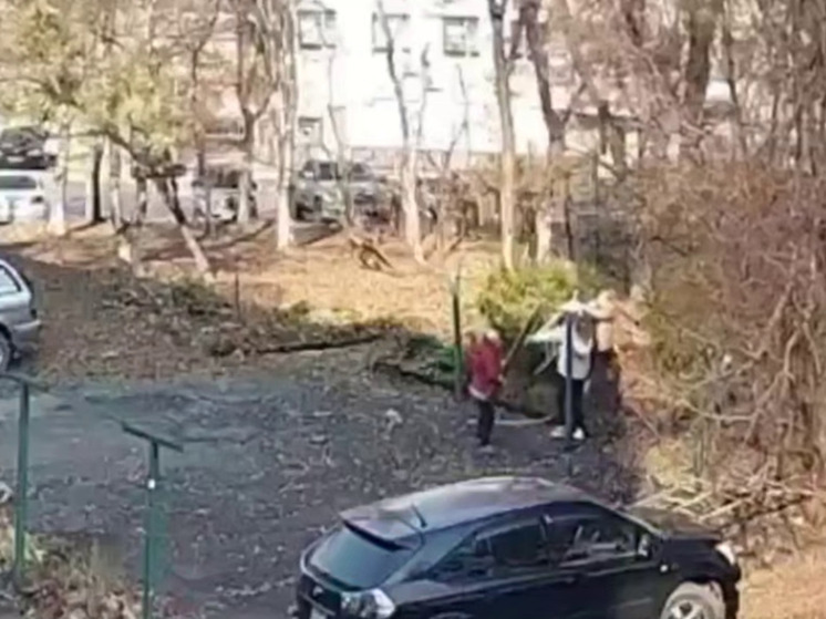 Запугивает не в первый раз: пенсионерка напала с бревном на жителей Владивостока