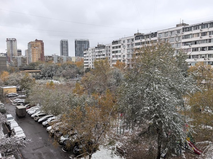 Магнитные бури в Хабаровске на неделю с 3 по 9 ноября 2025 года