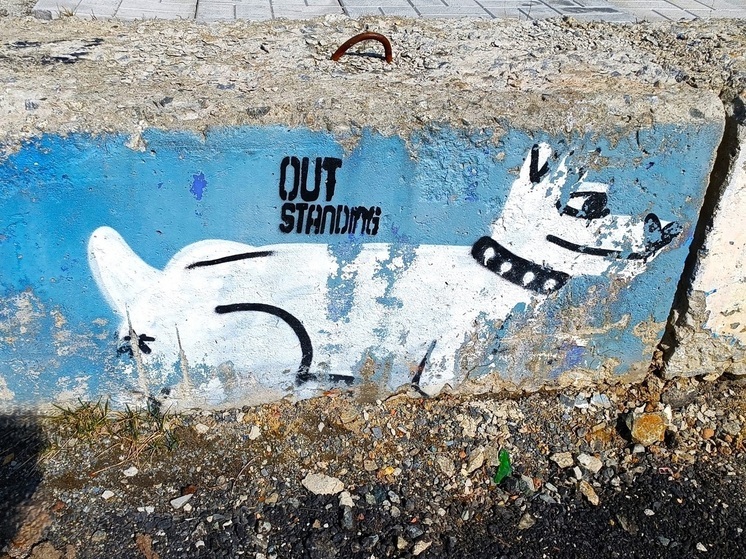 В Серове открыли благотворительный проект «Зоошкаф»