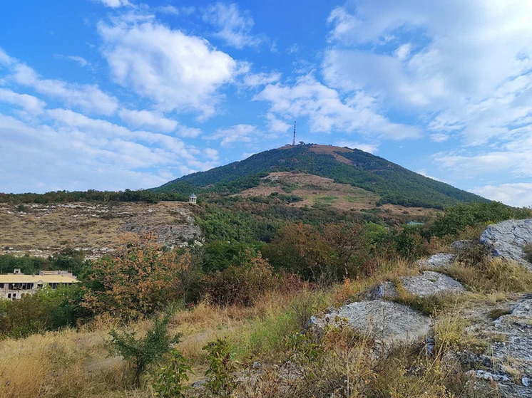 Юные исследователи представили 50 научных работ на региональной конференции в Пятигорске