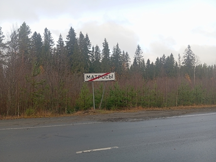 В Карелии неизвестный сбил опору дорожного знака с названием поселка