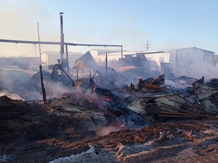 В Амурске пожар уничтожил здание рядом с деревообрабатывающим цехом