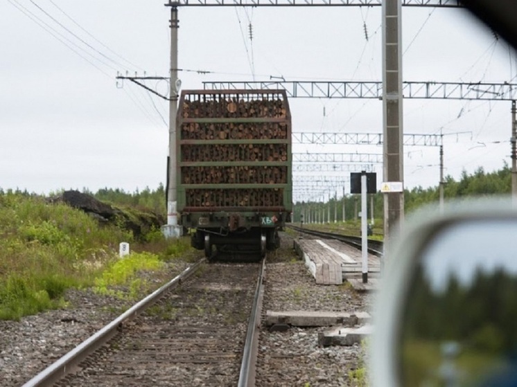 Пять вагонов сошли с рельсов на железнодорожных путях рядом с Карелией