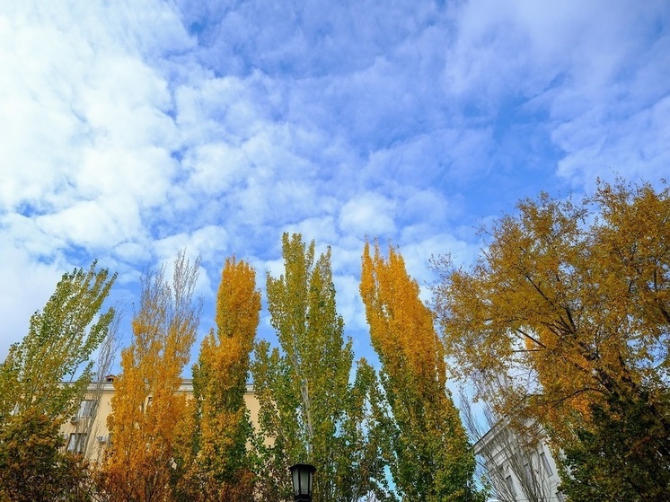 Режим беспилотной опасности действовал в Волгоградской области ночью 3 ноября