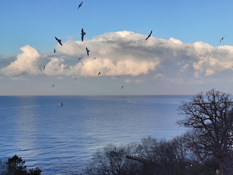 Инфляция в Томской области снизилась до 7,7%