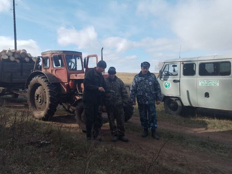 В Иркутской области выявлены незаконные рубки леса на сумму более миллиона рублей