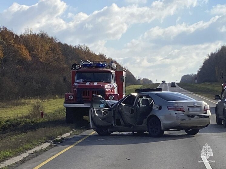 В Узловском районе, на дороге «Богородицк-Епифань» сгорел автомобиль