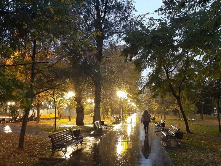 У Саратова сбили 29 БПЛА