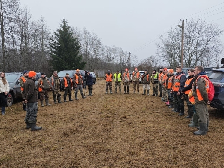 Новгородские охотники добыли лося для бойцов СВО