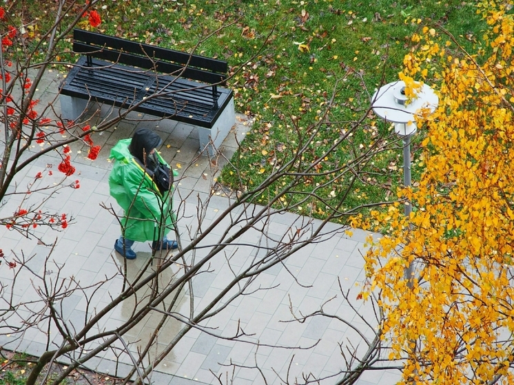Синоптик Леус: ночные заморозки вернутся в столичный регион во второй декаде ноября