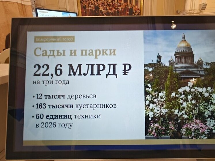 Казна Петербурга выделит на «Зеленый бюджет» 370 млрд в 2026-2028