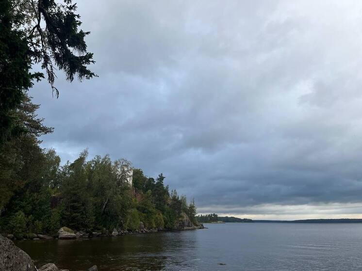 В Санкт-Петербурге 3 ноября будет облачно и пройдут кратковременные дожди
