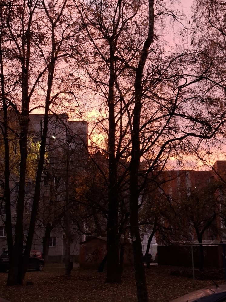 Псковскую область ожидает облачная погода с дождями 3 ноября