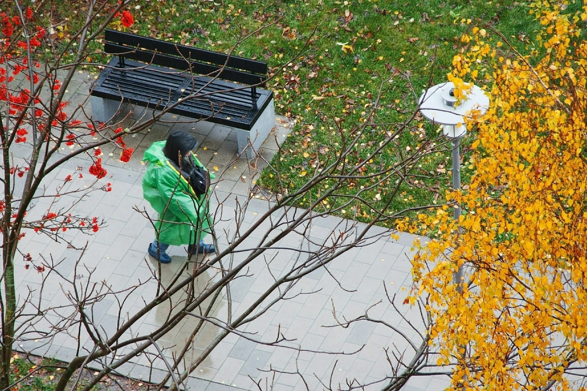 Метеоролог раскрыл, когда в Москву вернутся ночные заморозки