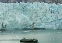 Ученые были озадачены, обнаружив "невозможную" жизнь, процветающую на Северном полюсе