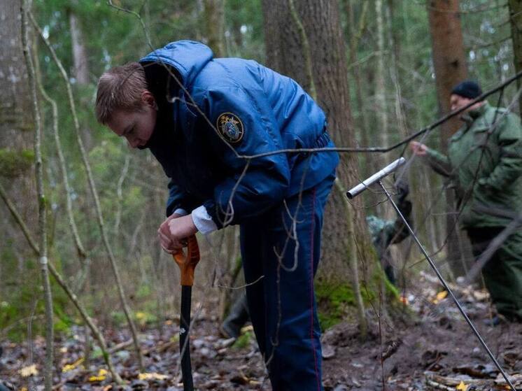 В Павловске следователи-криминалисты и кадеты продолжают поиски павших бойцов ВОВ
