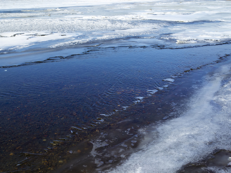 На реках Архангельской области начинается ледостав