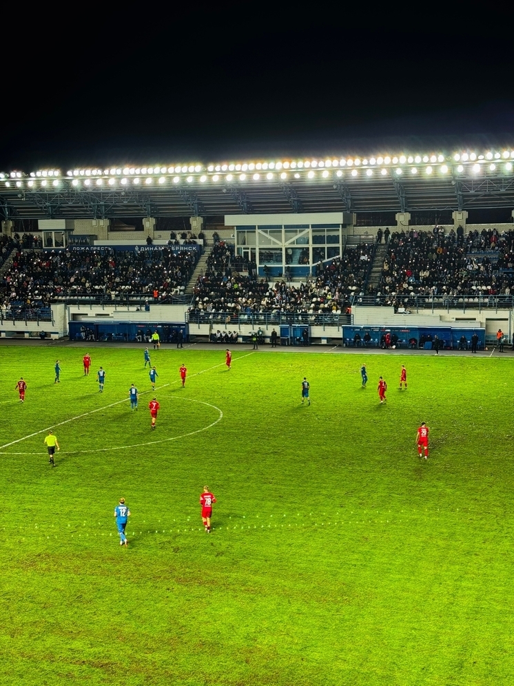 Команда «Динамо-Брянск» победно завершила сезон