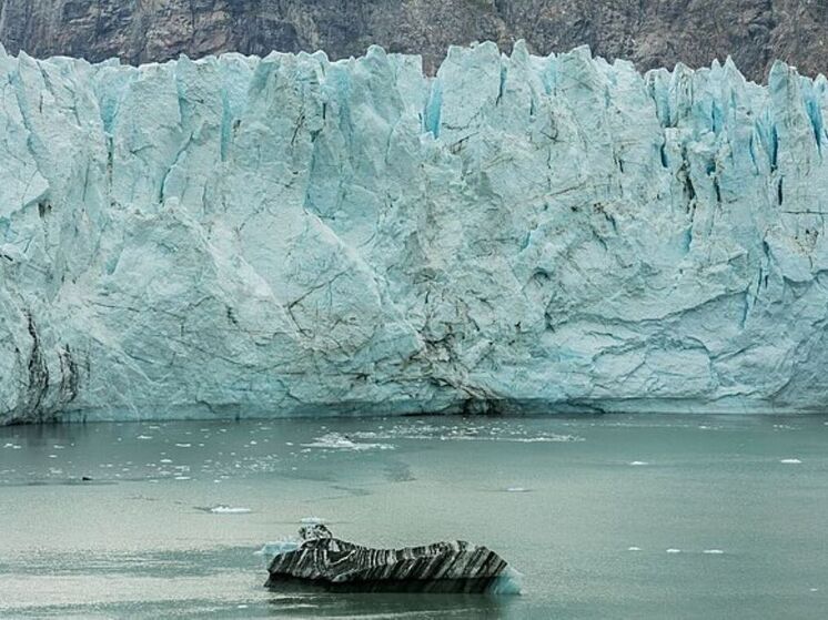 На Северном полюсе обнаружили скрыто процветающую жизнь
