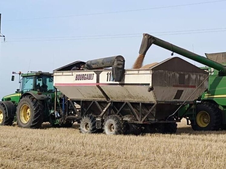 Омские аграрии намолотили почти 4 млн тонн зерна