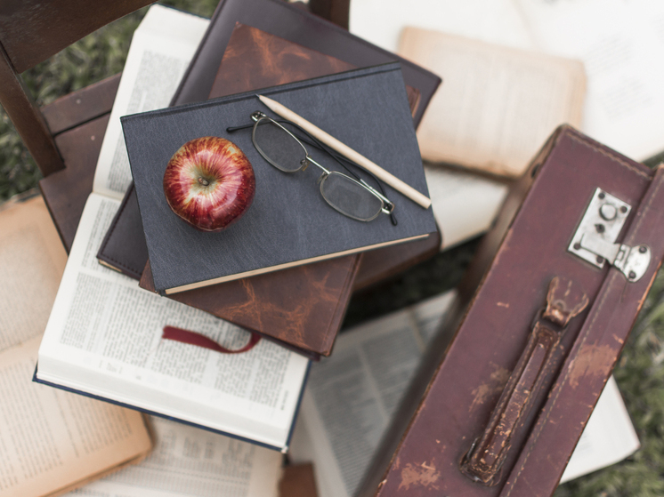 В библиотеке Богучара Воронежской области рассказали о поэтах XX века