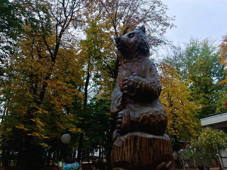 Синоптики рассказали о погоде в Смоленске на День народного единства