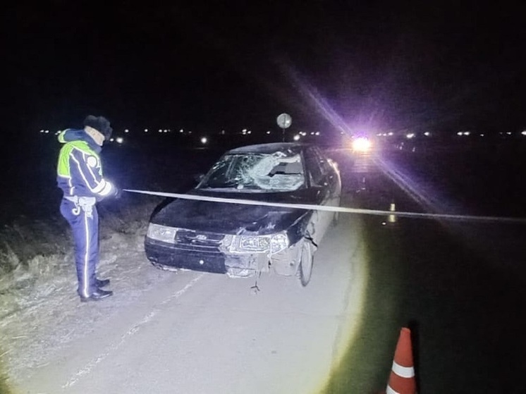 СМИ сообщают, что водитель, насмерть сбивший свердловского подростка, найден мертвым