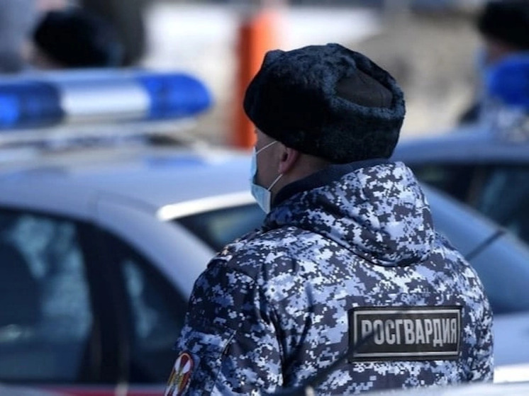 Драчун из Коряжмы устроил потасовку в баре и сбежал