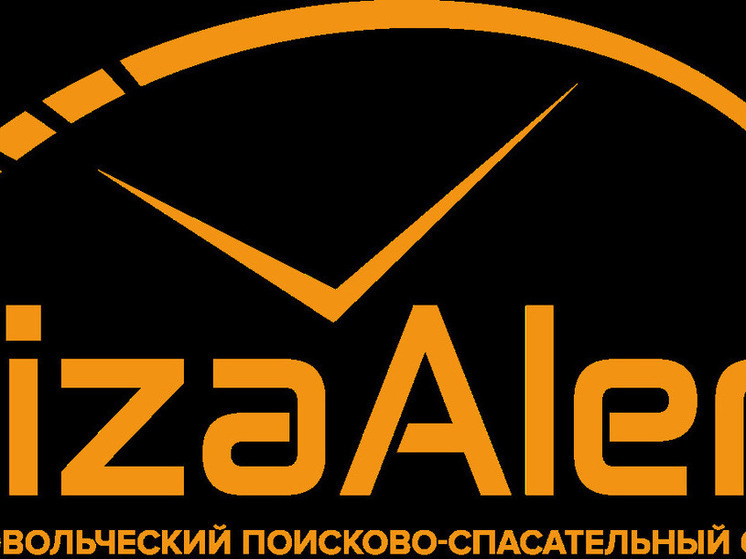 «Лиза Алерт» подвела октябрьские итоги: в Воронежской области найдены пропавшие