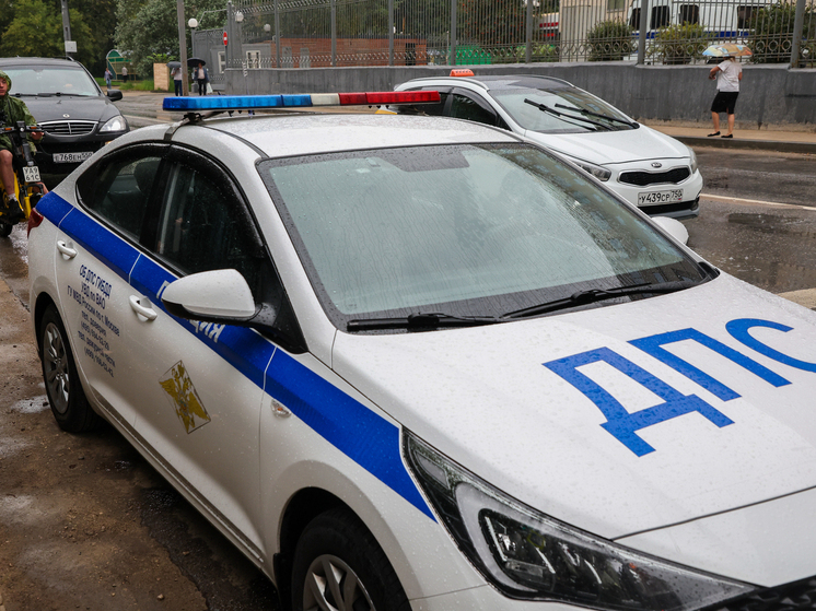 Сотрудниками полиции  было выявлено видео с жестоким обращением к животному