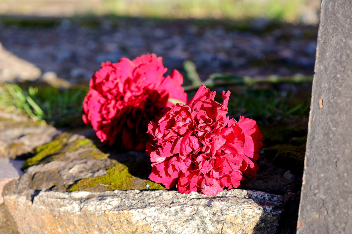 На 34-м году жизни скоропостижно ушла из жизни российская журналистка