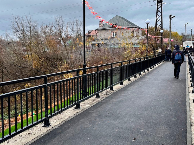 Липецк открыл пешеходную переправу ко Дню народного единства