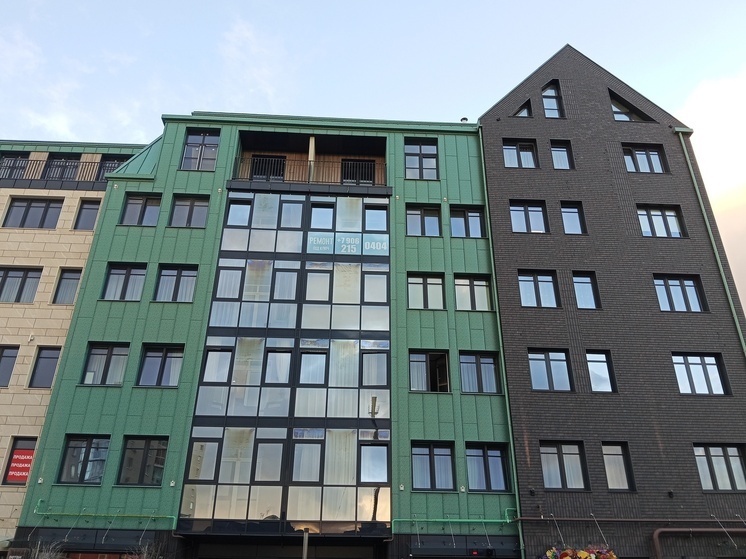 При покупке жилья в новостройках большинство россиян по-прежнему пользуются ипотекой