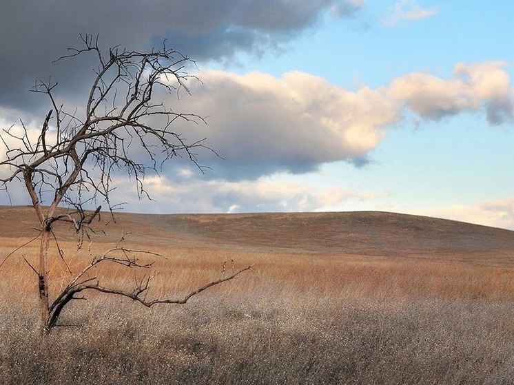Завтра жителям Калмыкии стоит присмотреться к приметам на погоду