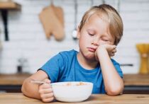 Плохой аппетит у детей всегда вызывает тревогу и недовольство родителей, бабушек и дедушек