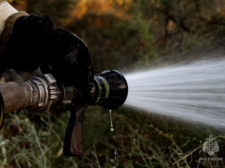 В Севастополе завершился пожароопасный сезон