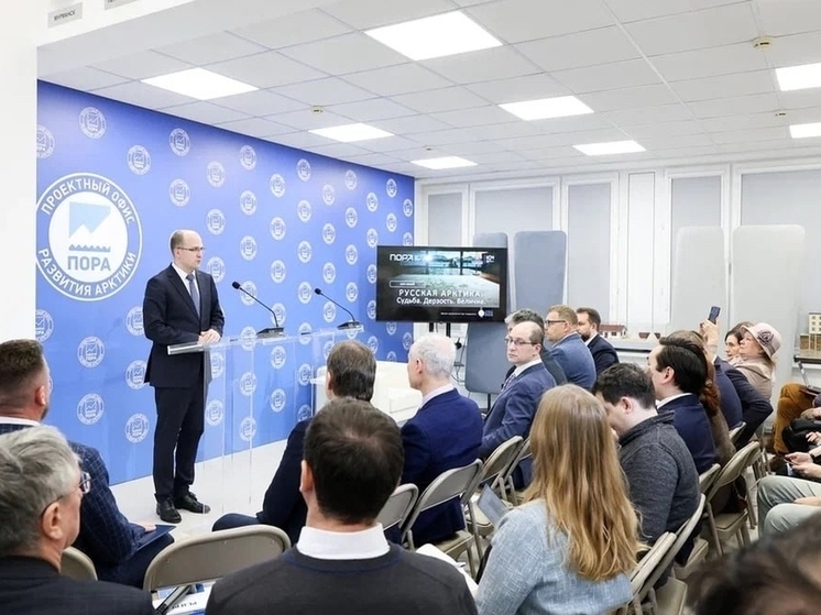 В Проектном офисе развития Арктики представили концепцию «северности» России