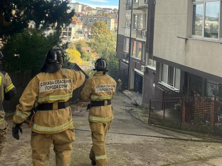 Служба спасения Сочи за неделю отработала 17 вызовов