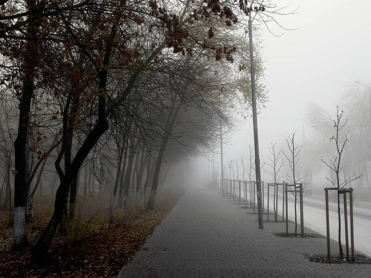 4 ноября в Пензенской области ожидается сильный туман