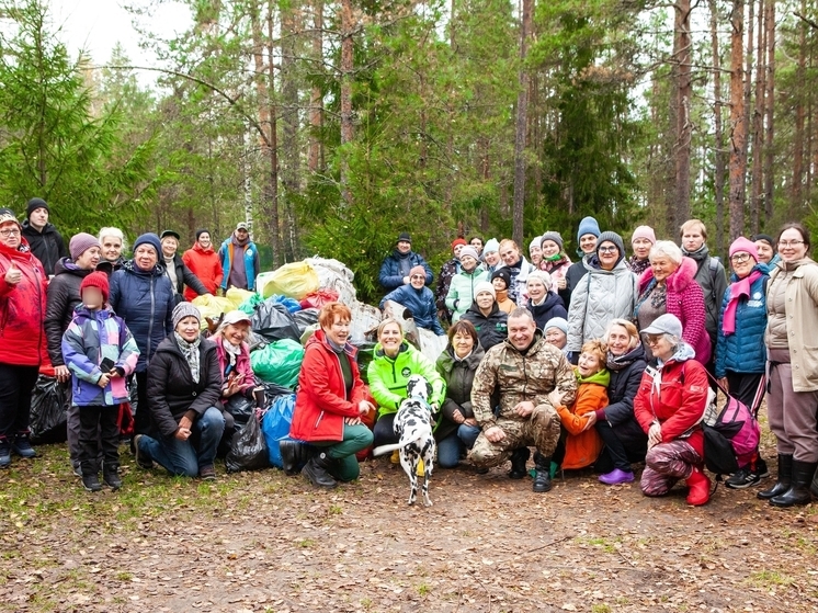 Ленинградцы привели в порядок заказник «Котельский»