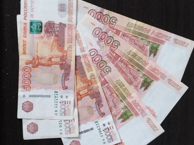 Петербуржцев попросили не отдавать деньги кумирам