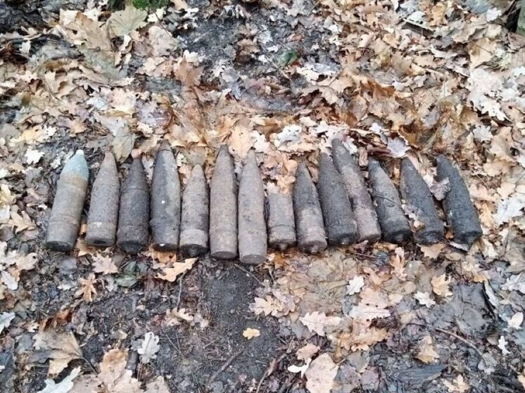 В Яковлевском округе нашли 14 боеприпасов времен Великой Отечественной войны