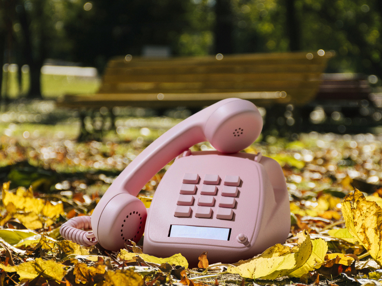 В Красноярске начала работу горячая линия Роспотребнадзора по вопросам качества товаров