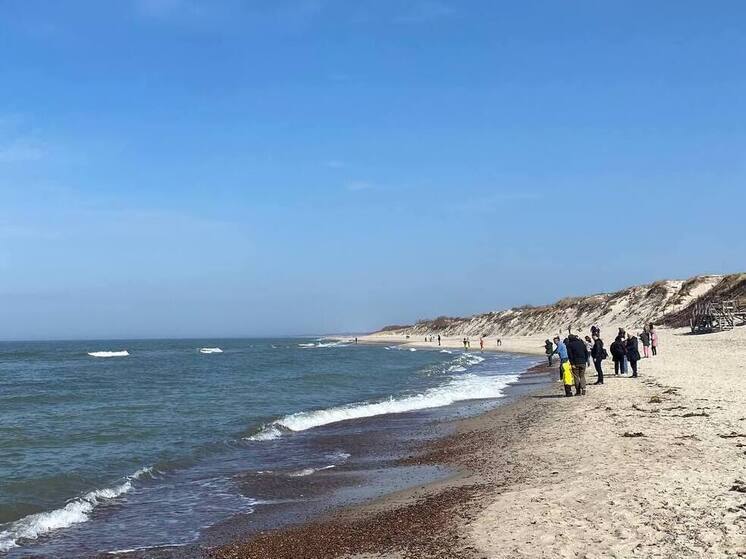 Будущее Куршской косы обсудили на форуме в Калининграде