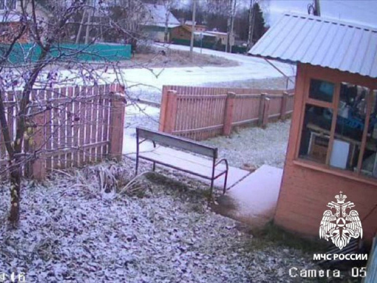 Ночью в Костромской области выпал первый снег